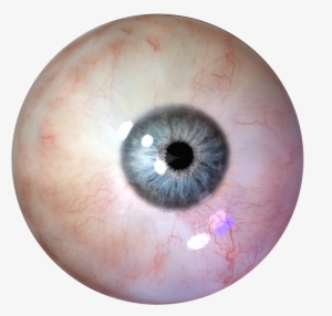 Eye Transparent #33054