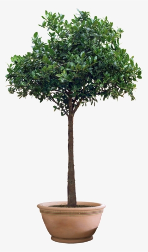 Free Icons Png - Hadrian's Wall #34000