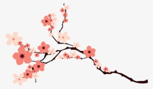 Cherry Blossom Png Transparent Image - Cherry Blossom Vector Png #34049
