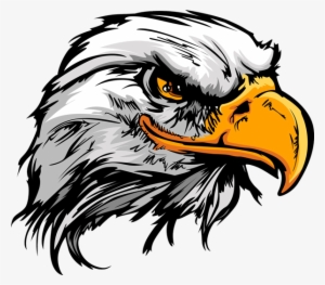 Head Eagle Png #34072