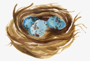 This Graphics Is Bird S Nest Water Tank Transparent - Nest #34256