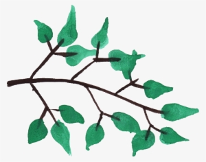 Watercolor Branch Png - Watercolor Tree Branches Png #34340