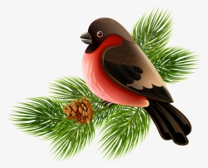 Bird Clip Art - Bird On Branch Png #34722