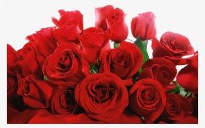 Image - Bunch Of Red Roses #34980