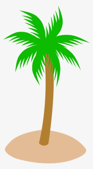 Single Clipart Coconut Tree - Palm Tree No Background #35217