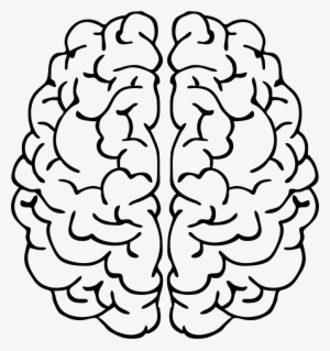 Clip Art Black And White Download Brain Line Drawing - Left Vs Right Brain Png #35345