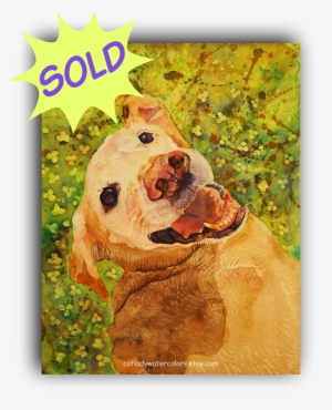 #yellowlab #dog #dogportrait #dogwatercolor #petportrait - Cocker Spaniel #35439