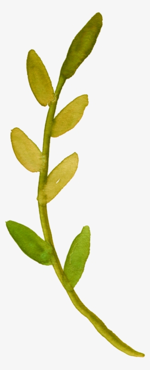 Free Fall Floral Clip Art So Pretty - Watercolor Flower Clipart Transparent #35508