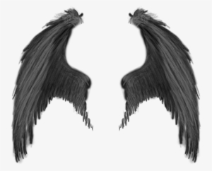 Realistic Demon Wings Png #35653