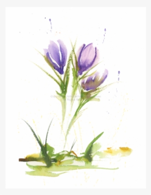 Watercolor Painting #35657