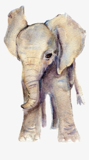 Elephant Watercolor, Baby Elephant Drawing, Elephant - Png Elephant #35787