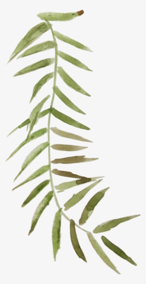 Img 3550 Img 3552 #36078