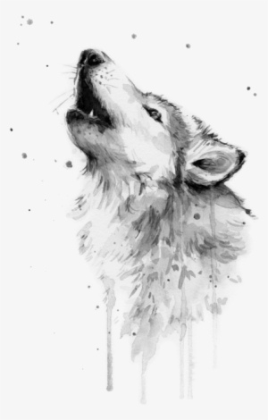 Click And Drag To Re-position The Image, If Desired - Wolf Watercolor #36102