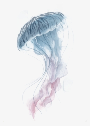 Jellyfish Watercolor Painting #36123