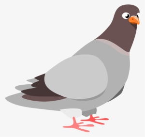 Pigeon Clipart #37055