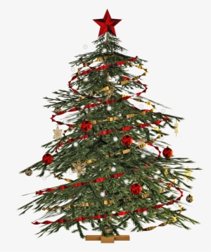 Christmas Tree Png Image - Christmas Tree Images Png #37688