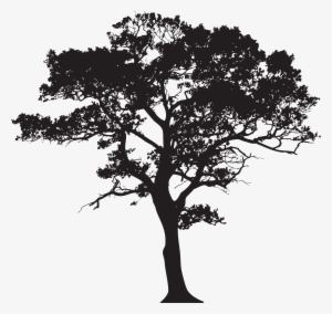 Silhouette Tree Png Clip Art Image #37785