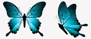 Blue Butterfly Png Clipart Image - Butterfly Png #37828