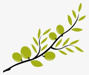 Jpg Transparent B Olive Clip Art Graphic Design Boliveb - Olive Branch Clipart #37919