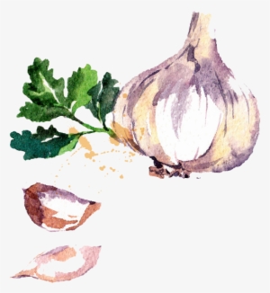 Watercolor Vegetables Png #38110