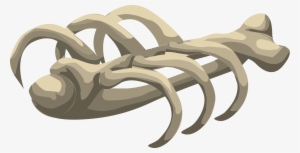 Broken Bone Png - Animal Bones Clipart #38132