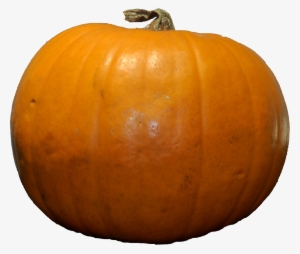 Pumpkin Png #38158
