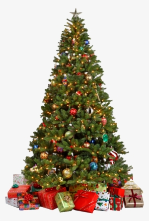 Christmas Tree Png - Decorated Christmas Tree Png #38227
