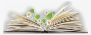 Open Book Png Image - Open Book Png Transparent #38887