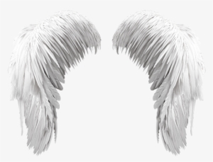 Free White Wings Png - Angel Wings White Png #38907