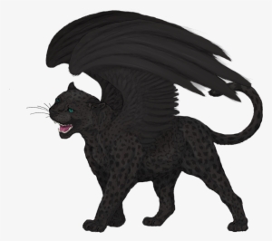 Leopard Black Panther Felidae Cat Drawing - Black Panther Animal Drawing -  Free Transparent PNG Download - PNGkey