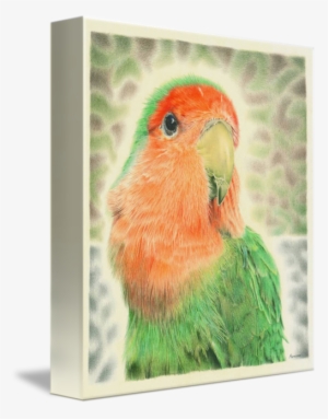 Lovebird Pilaf By Remrov S Artwork Share - Watercolor Painting #38953