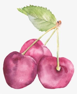 Hand-painted Realistic Three Cherry Decoratives - 水墨畫 水果 #39055