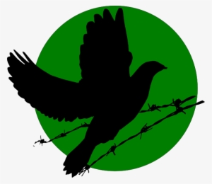 Download Dove Svg Clipart 43507 Free Dove Png And Svg #39102