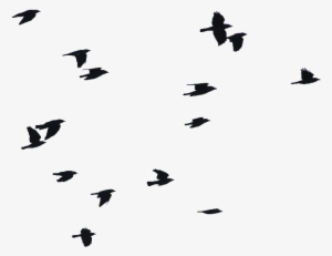 Birds Flying Png Image - Birds Flying Silhouette Png #39234