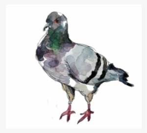 Clipart Download Objects - Pigeon Tumblr Png #39745
