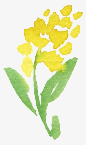 Disponible En Formato De Png - Watercolor Painting #300879