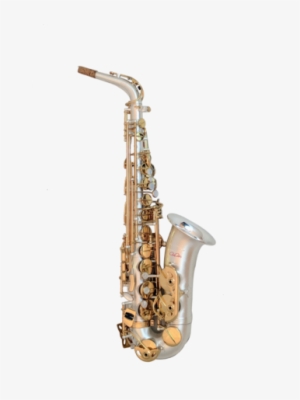 Tgs Rudy Rodriguez Signature Series Ii Alto Saxophone - Alto Saxophone #301089