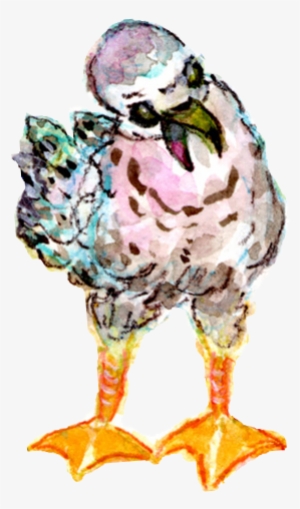 Hi - Illustration #301091