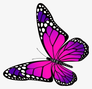 Butterfly Clipart For Kids At Getdrawings #301287