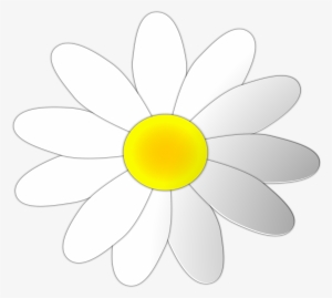 Chamomile Clipart Daisy - Common Daisy #301481