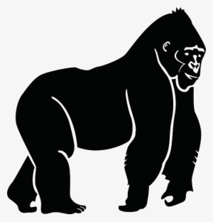 Gorilla Png Vectors - Gorilla Png - Free Transparent PNG Download - PNGkey