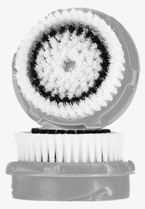 Share This - Circle #301820