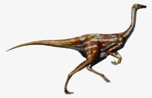 Ornithomimus-dinosaur - Ornithomimus Dinosaur #301881
