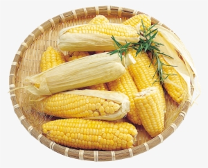 Corn Png Image Png Image - Canasta Con Maiz Pmg #302895