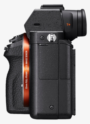 ‹ › - Sony A7r Ii #302935