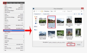 2 - Operating System #303118