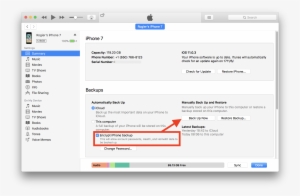 Github Import Export - Macos #303163