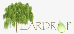 Teardrop - Willow Tree Cut Out #303441