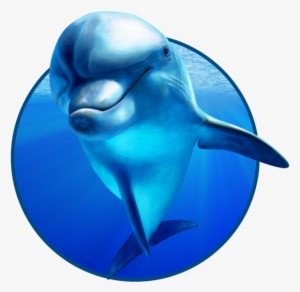 Dolphin Png - День Китов И Дельфинов #303481
