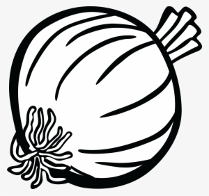Clip Library Stock Clip Art Free Of An - Onion Black And White #303553